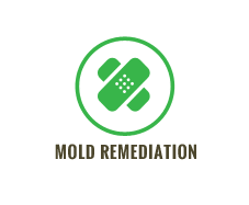 Mold Remediation