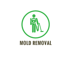 Mold Removal