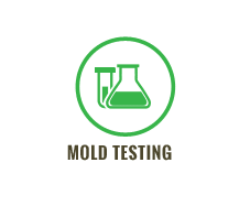 Mold Testing